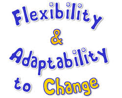 gemini flexibility and adaptability to change