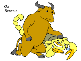 Ox Scorpio