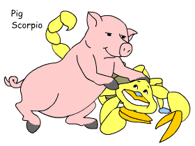Pig Scorpio