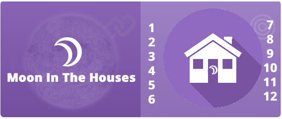 The Moon In The Houses